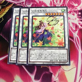 いろはもみじ ノーマル