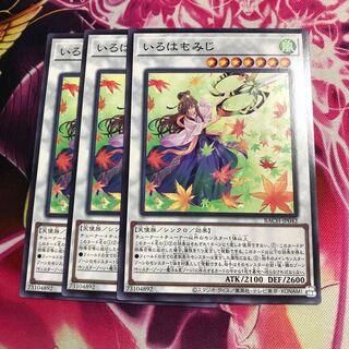 いろはもみじ ノーマル