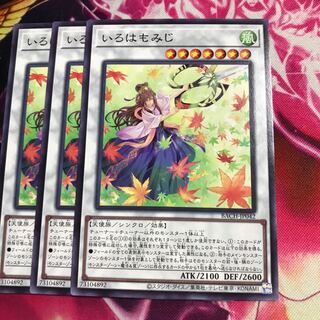 いろはもみじ ノーマル