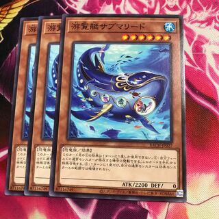 游覧艇サブマリード ノーマル