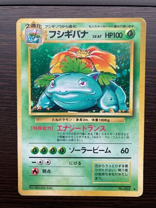 Venusaur Old Back