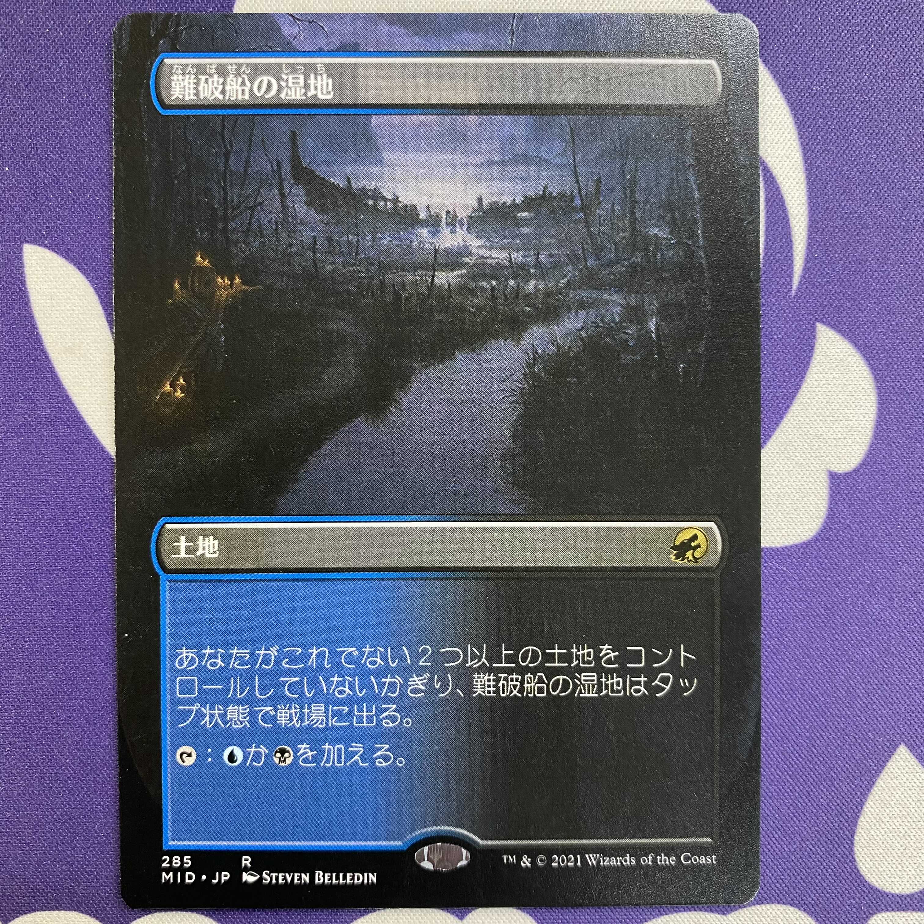Shipwreck Marsh Borderless