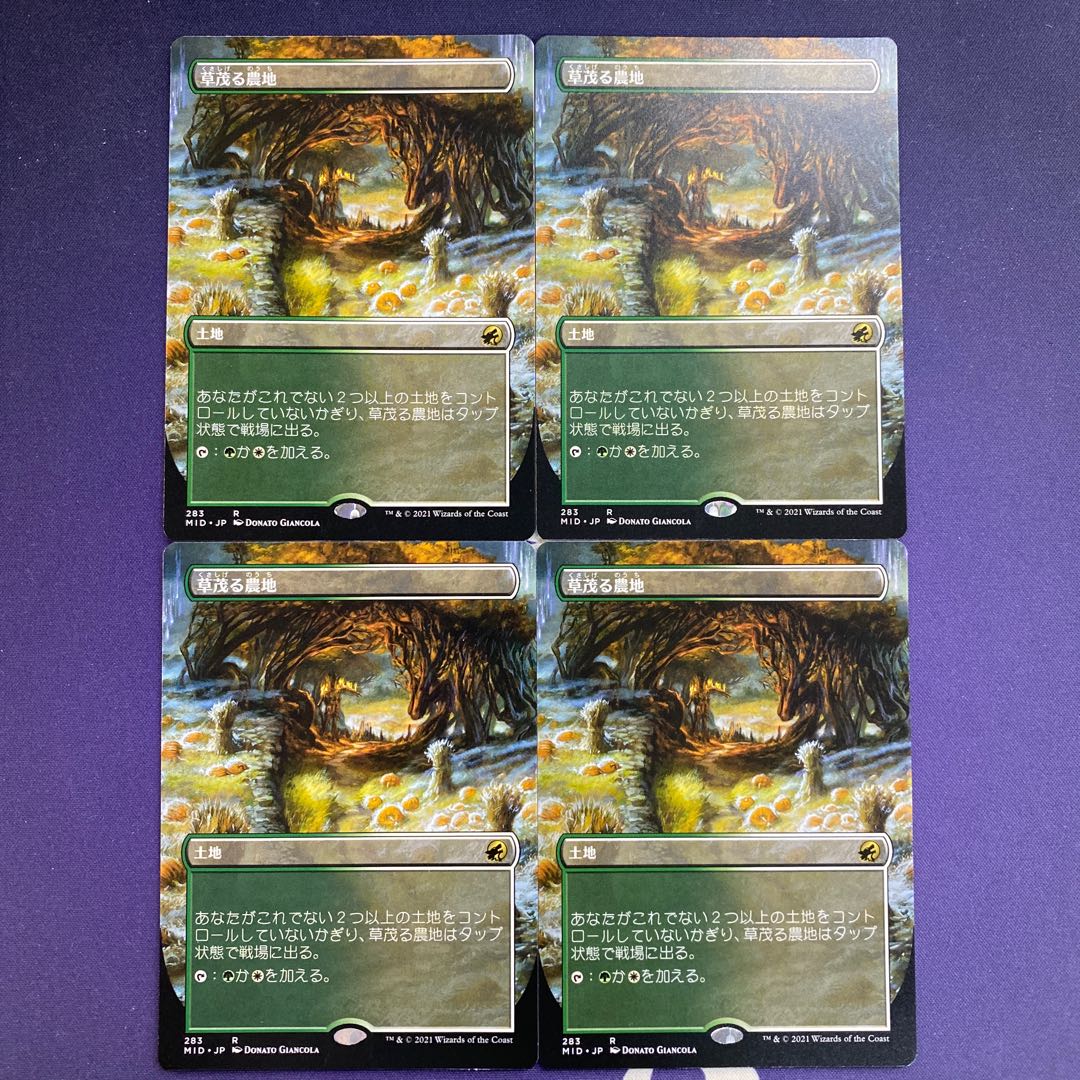 Overgrown Farmland Borderless 4-Piece Set