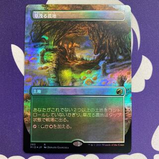 Overgrown Farmland Borderless Foil