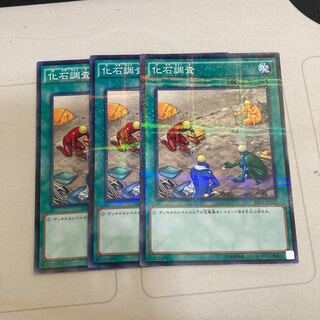 化石調査 パラレル ノーマル　３枚特価品