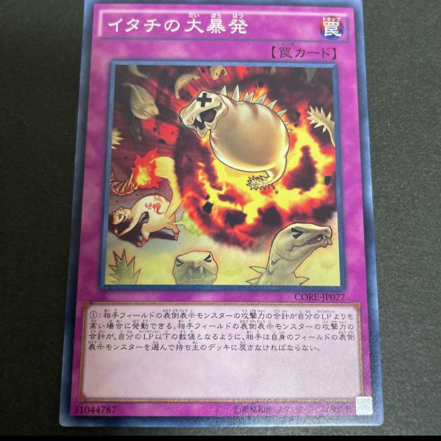 イタチの大暴発　１枚