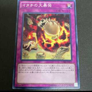 イタチの大暴発　１枚