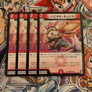 ハエタタ・チュリス　4枚