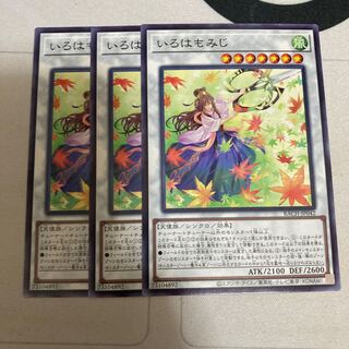 いろはもみじ ノーマル　3枚