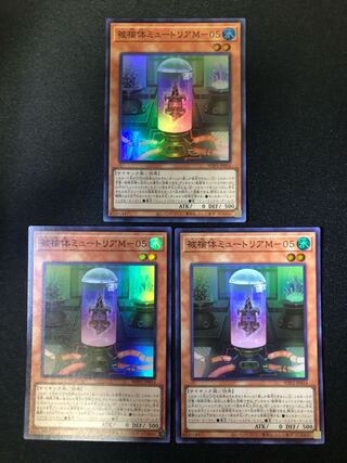 被検体ミュートリアM-05  ３枚セット　SR