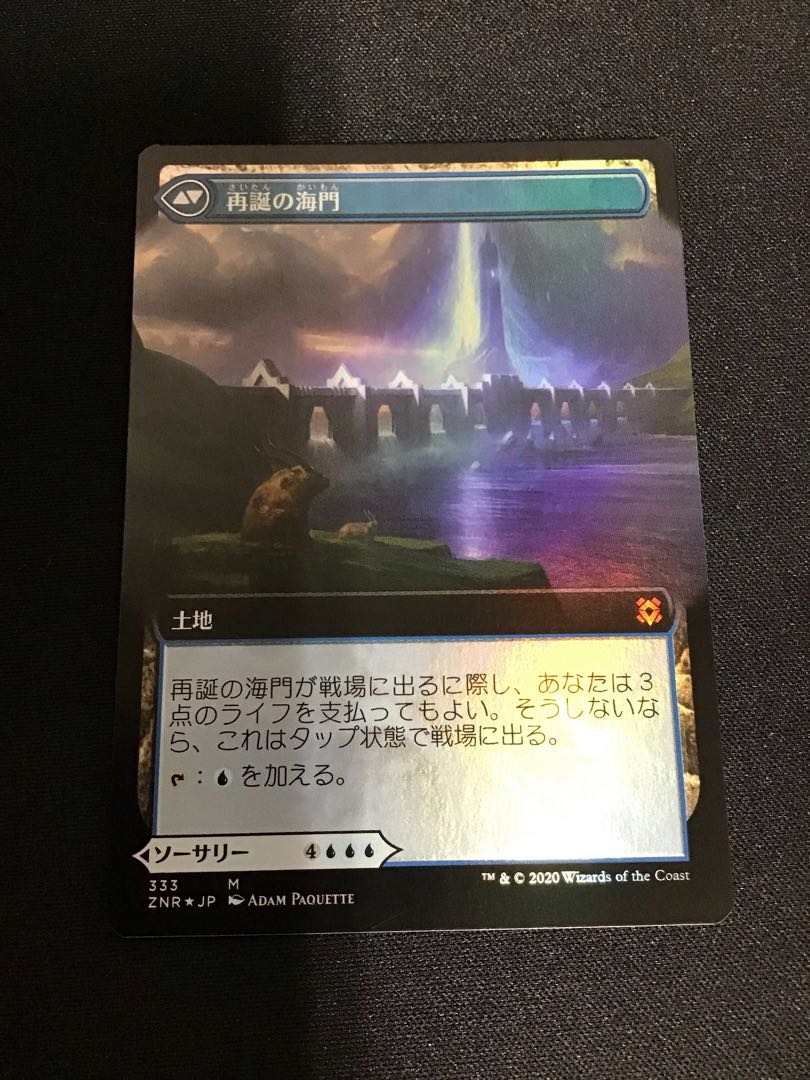 Sea Gate Restoration extended frame foil ZNR