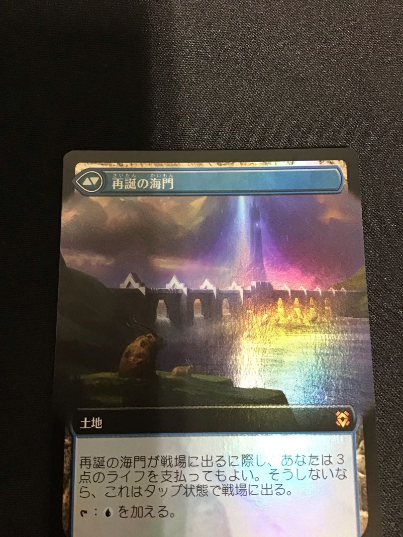 Sea Gate Restoration extended frame foil ZNR