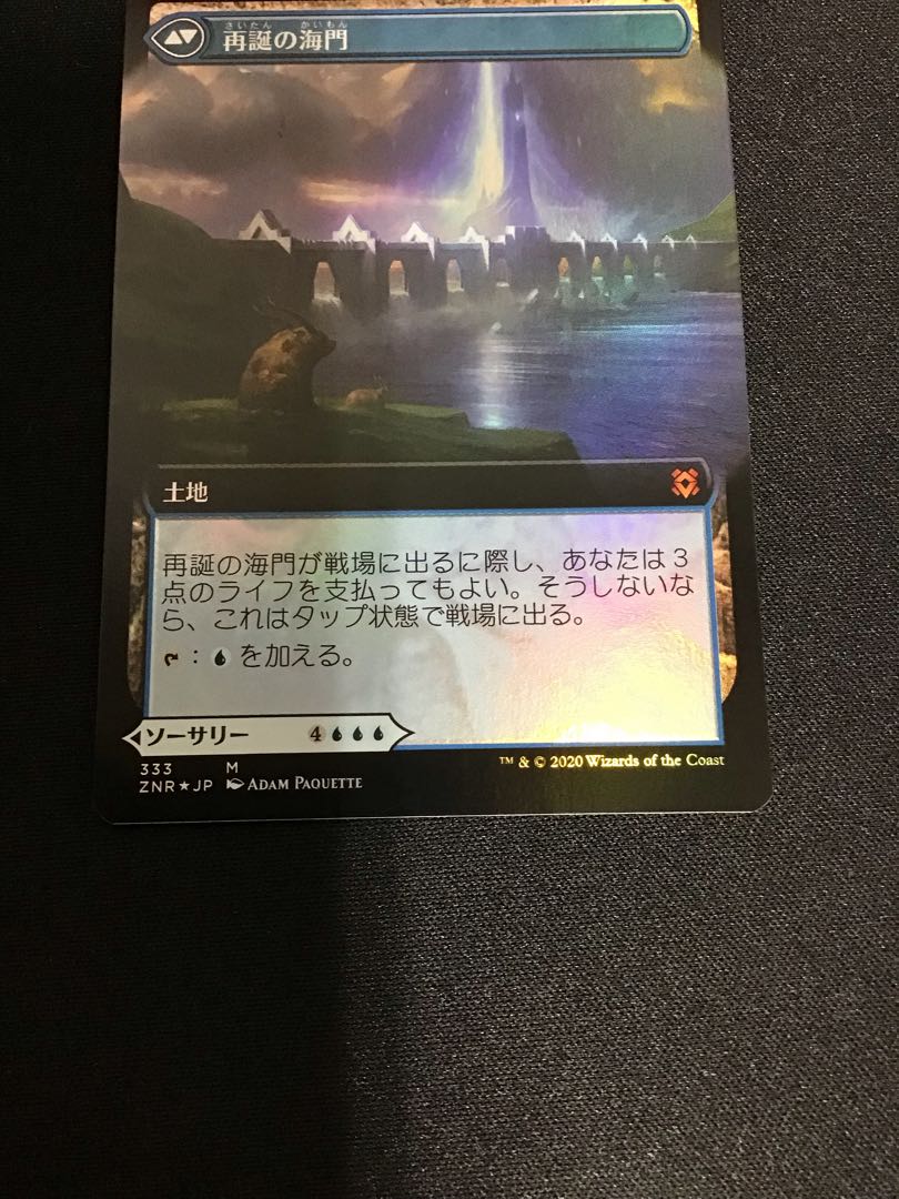 Sea Gate Restoration extended frame foil ZNR