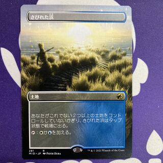 Deserted Beach Borderless