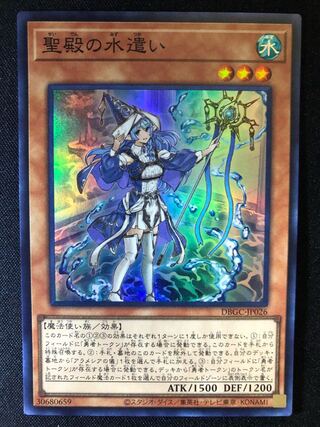 （専用）聖殿の水遣い　SR アラメシアの儀　SE