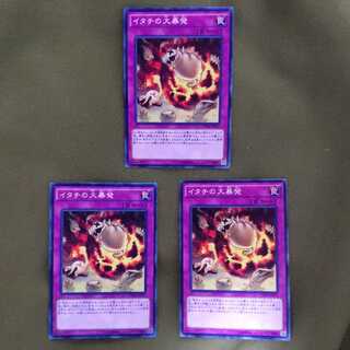 【特価】イタチの大暴発