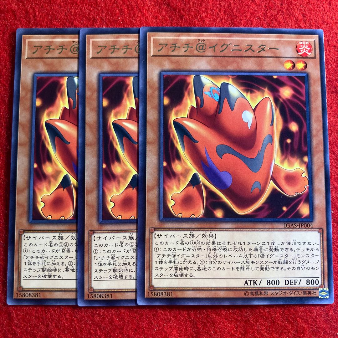 Achichi@Ignistar☆3517