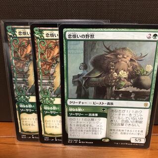 aki様専用 恋煩いの野獣+ランクル