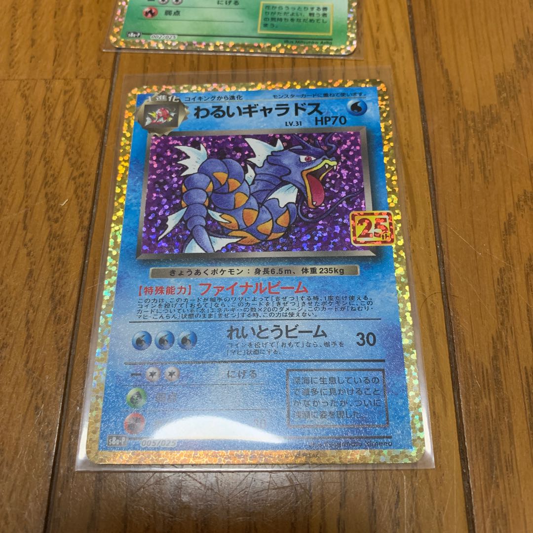 リザ様専用 1枚