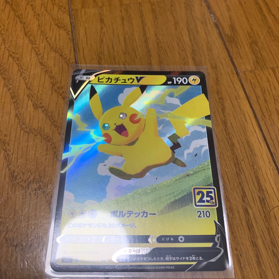 リザ様専用 1枚