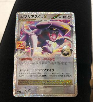 【専用出品】ガブリアス