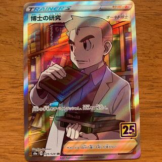 SR！博士の研究