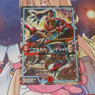 アカカゲ・レッドシャドウ