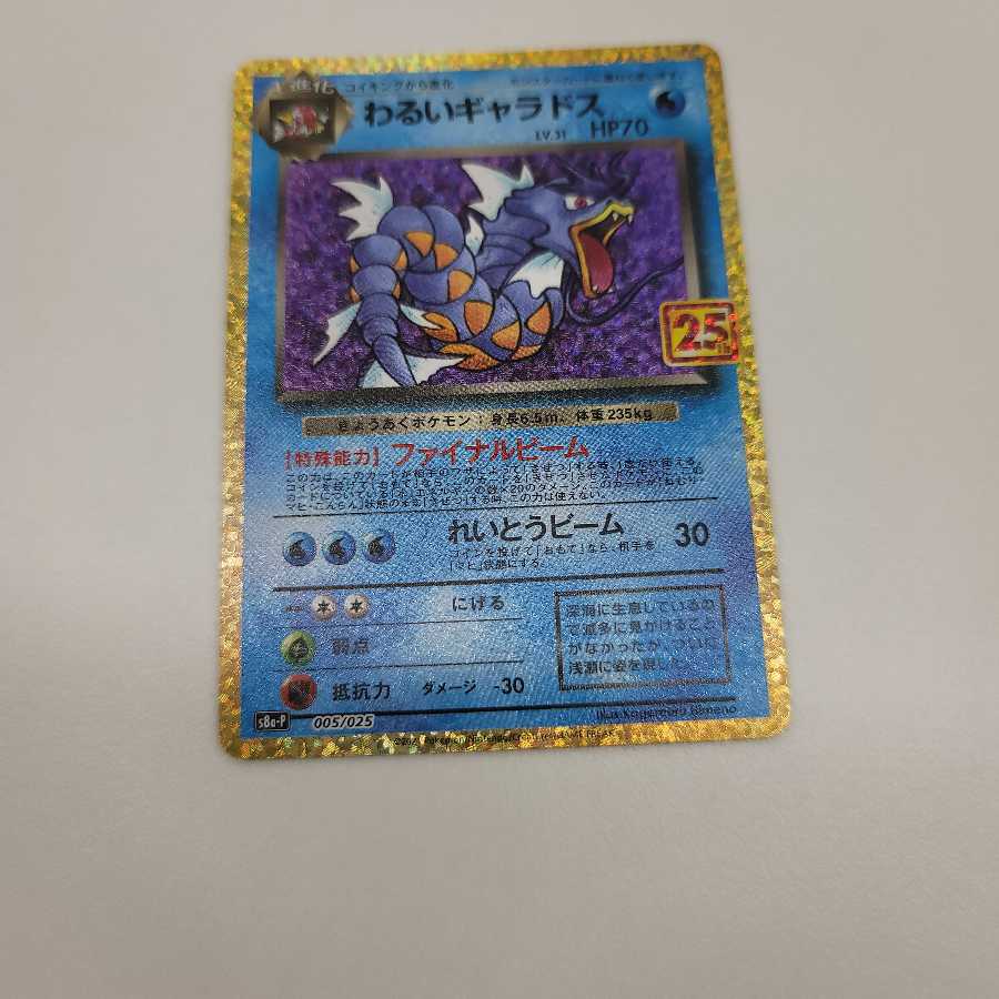 わるいギャラドス(25th)

　ポケモンカード