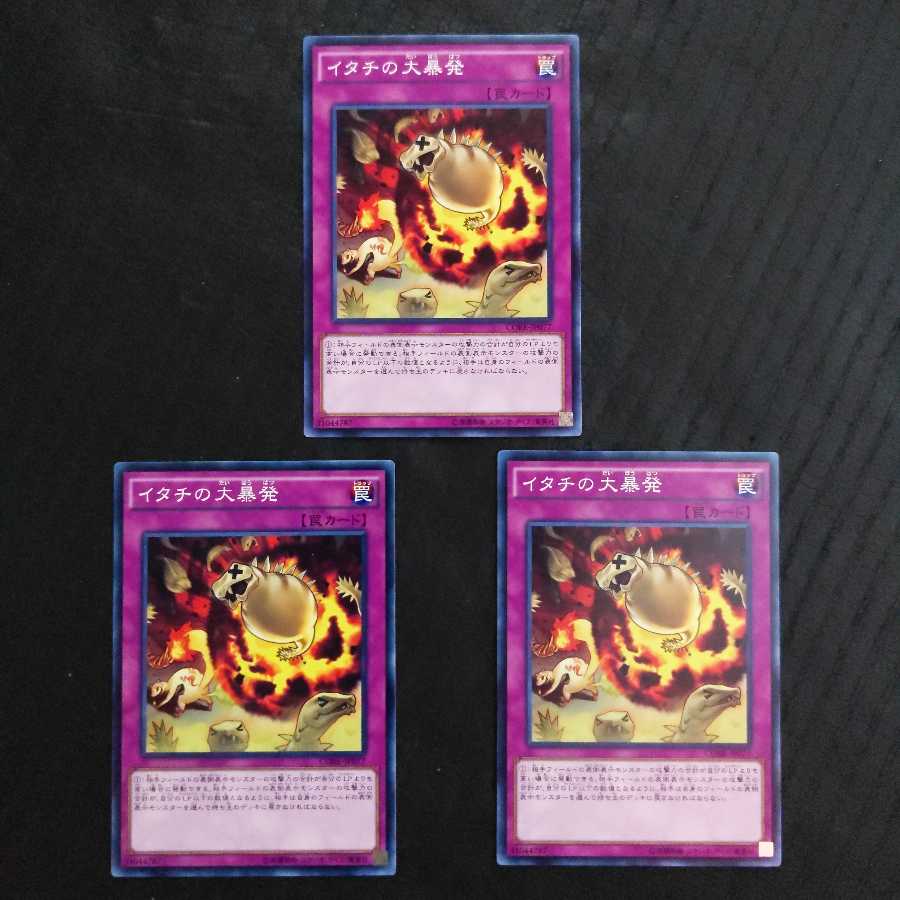 イタチの大暴発