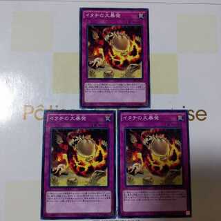 【特価】イタチの大暴発3枚