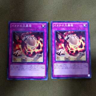 イタチの大暴発