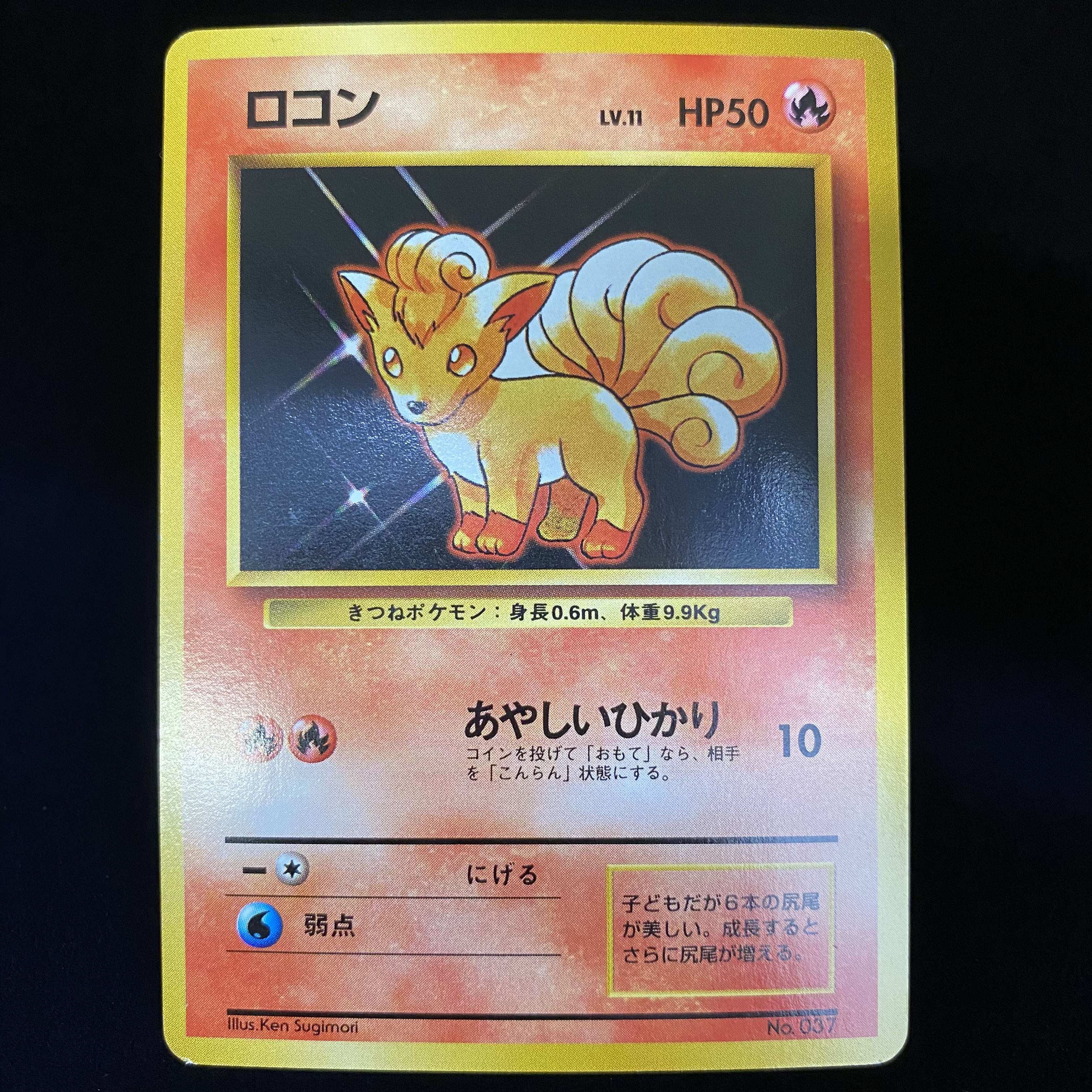 ロコン 初版 旧裏