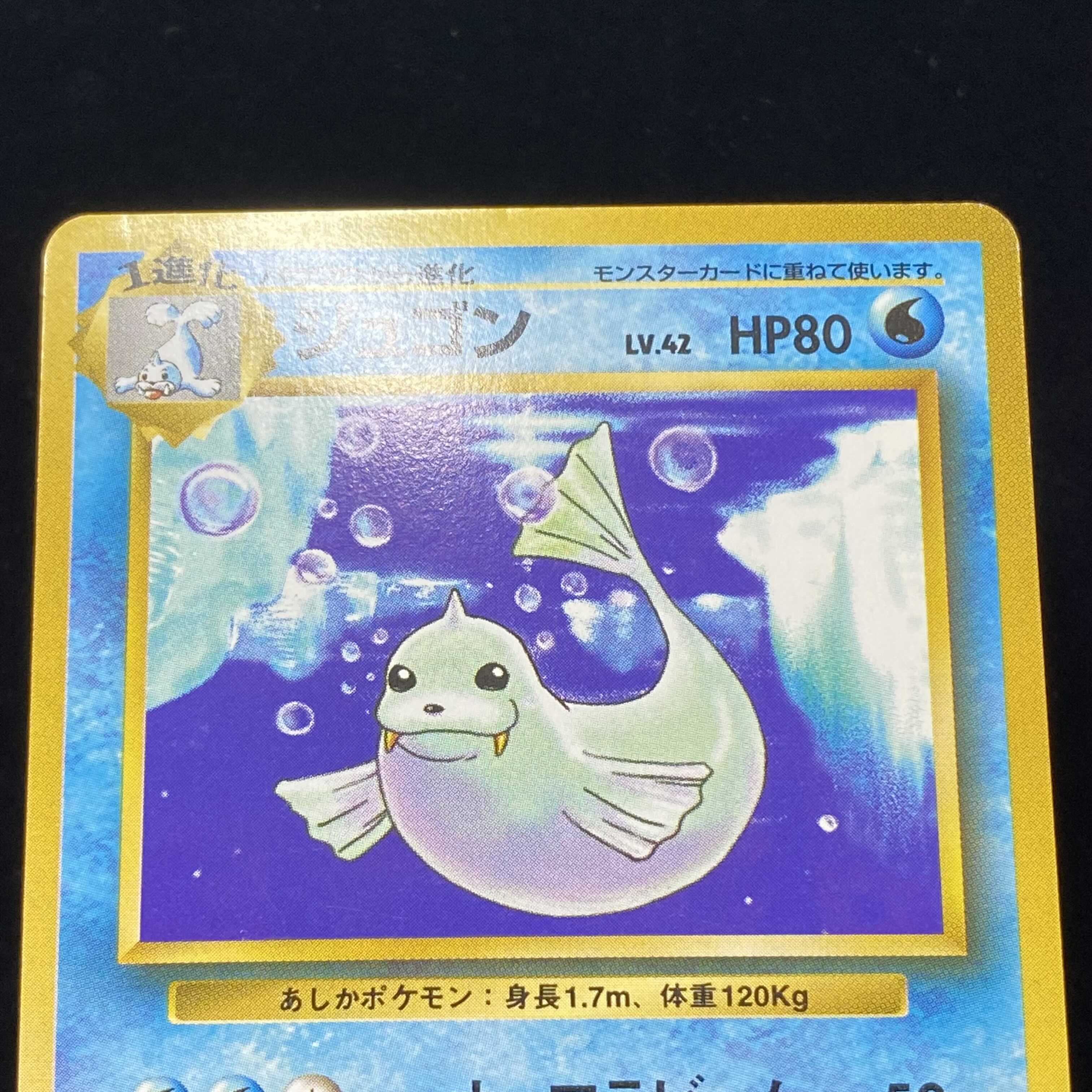 ジュゴン 初版 旧裏