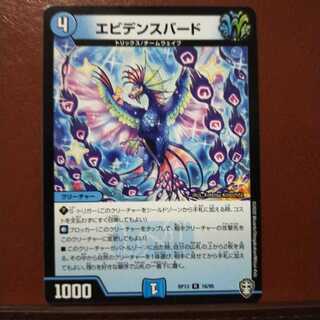 mri2171 set discount evidence bird