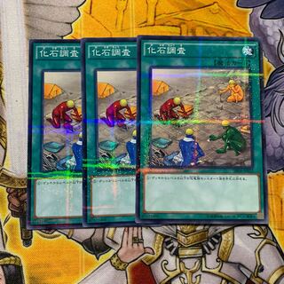 化石調査 パラレル ノーマル　ww セット