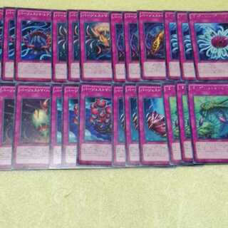 バージェストマデッキパーツセット