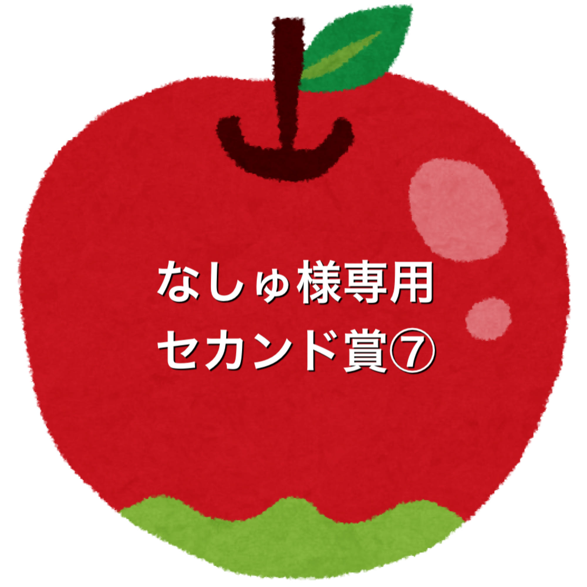 なしゅ様専用5口セカンド賞⑦