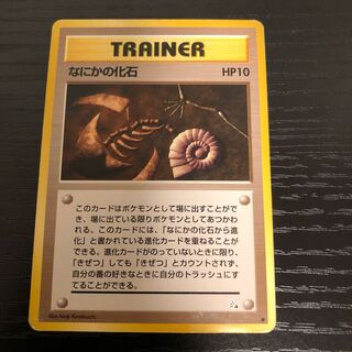 Fossil of something Old Back