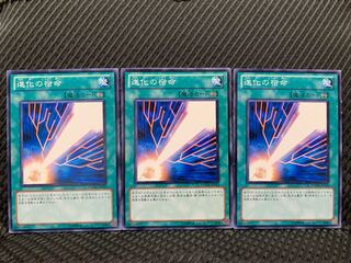 【ぽぽたん】遊戯王 8093 進化の宿命 3枚 ノーマル