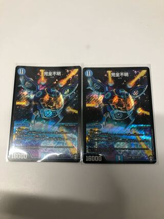 完全不明2枚セット