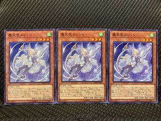 【ぽぽたん】遊戯王 4124 曇天気スレット 3枚 ノーマル