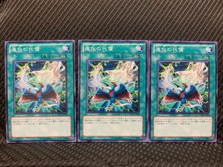 【ぽぽたん】遊戯王 8409 進化の代償 3枚 ノーマル