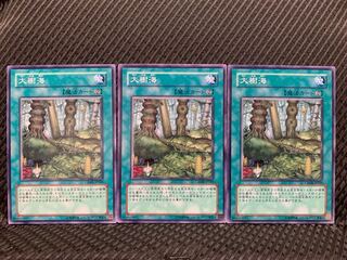 【ぽぽたん】遊戯王 9034 大樹海 3枚 ノーマル