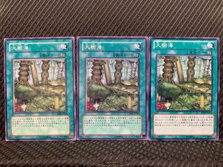 【ぽぽたん】遊戯王 6115 大樹海 3枚 ノーマル