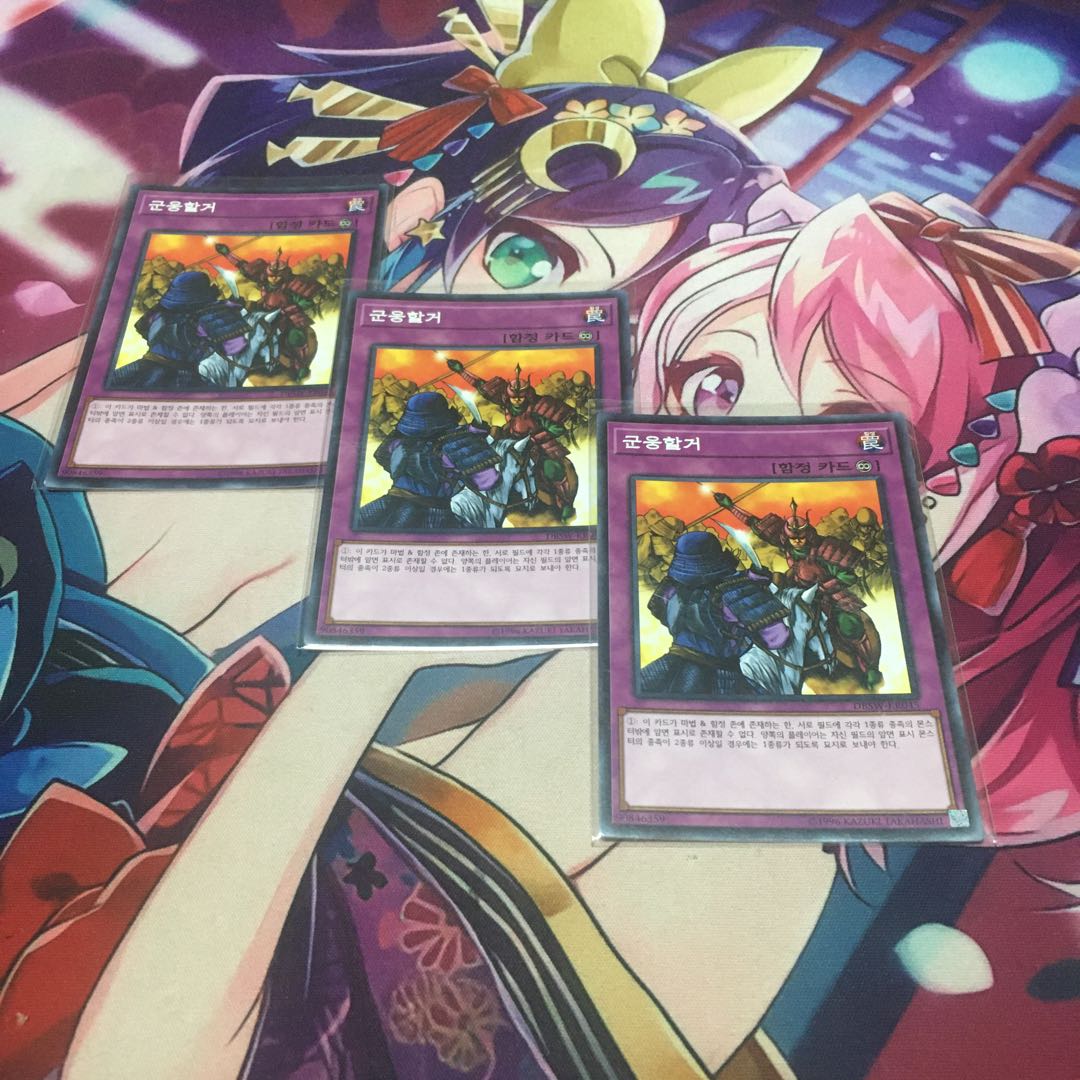 遊戯王 群雄割拠 韓国