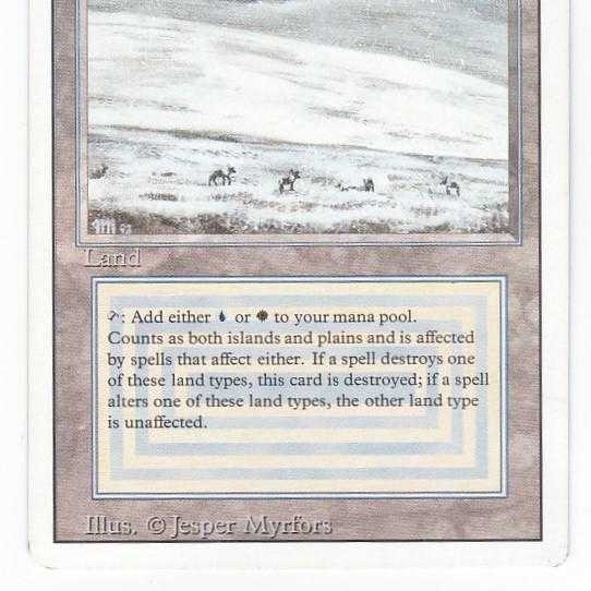 RV Tundra (English) Revised Dual Land MTG 141