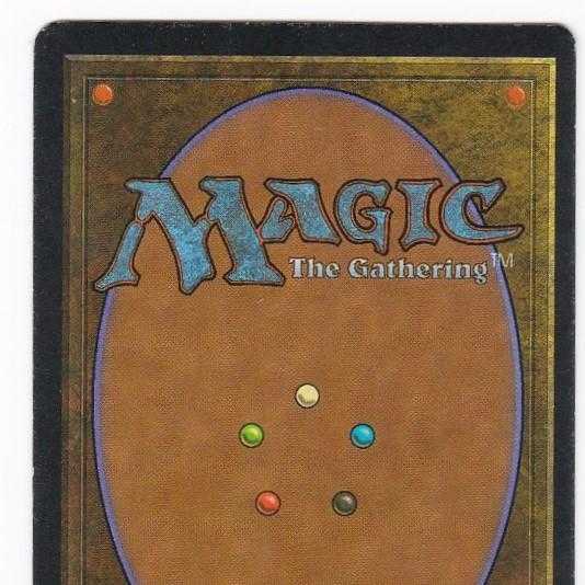 RV Tundra (English) Revised Dual Land MTG 141