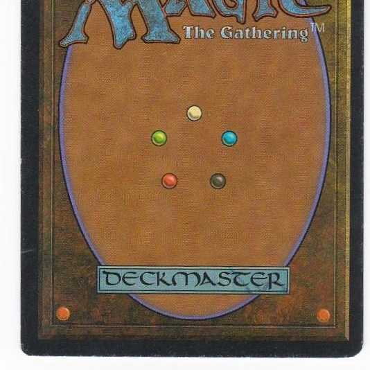 RV Tundra (英語) リバイズド デュアルランド MTG 141の通販 MTG