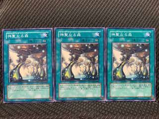 【ぽぽたん】遊戯王 6697 神聖なる森 3枚 ノーマル