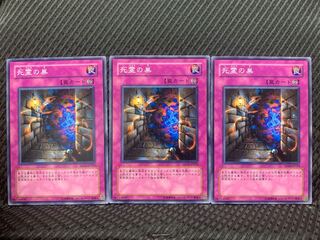 【ぽぽたん】遊戯王 3517 死霊の巣 3枚 ノーマル